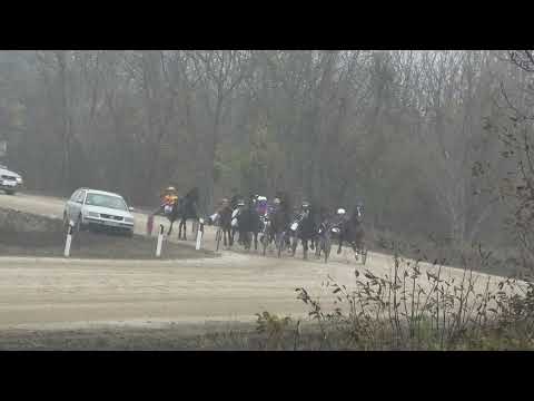 Trka "Trka Grada Pančevo" 07.11.2021  Parma Ferm - Boris Kečenović