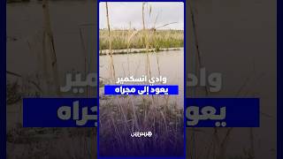 بعد سنوات الجفاف… وادي انسكمير يعود ليكشف تغير مجراه وحقولًا زُرعت مكانه بإقليم ميدلت thumbnail