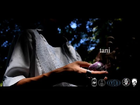 feat. TANI