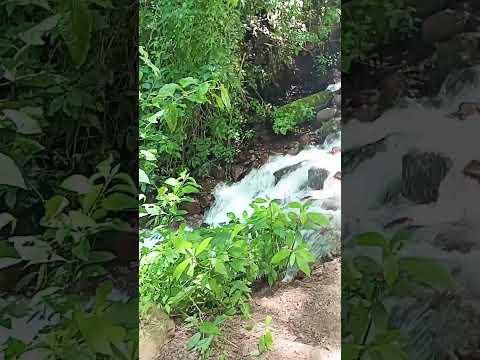 en San Francisco de jujuy