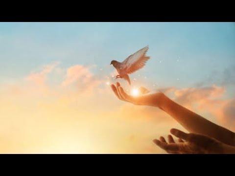 Corul de tineri Bosanci | Oare ce-am facut pentru Domnul