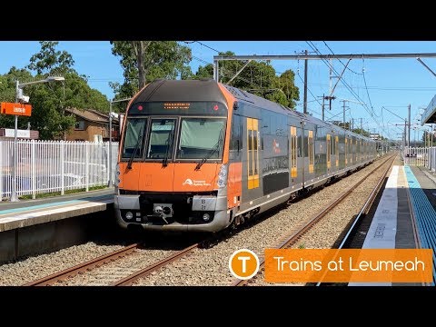 Sydney Trains Vlog 1696: Trains at Leumeah