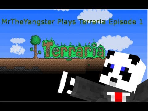 MrTheYangster Plays Terraria- Episode 1 BRIAN DON'T BE STUPID