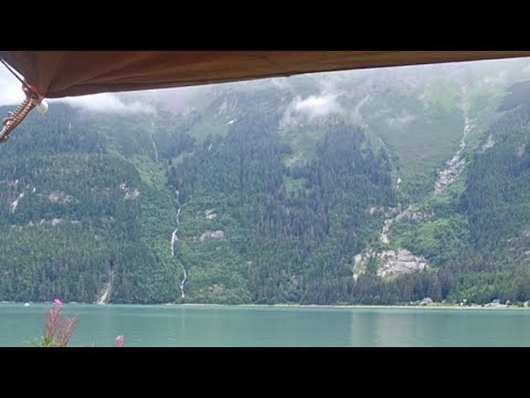 Noah DC Brown is live!