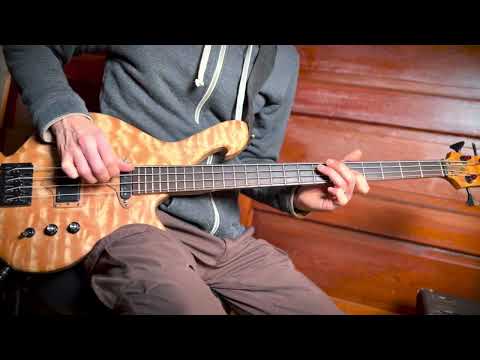 Birdsong "Sadhana" 4-String (Short Scale) 2011 - Quilted Maple image 18
