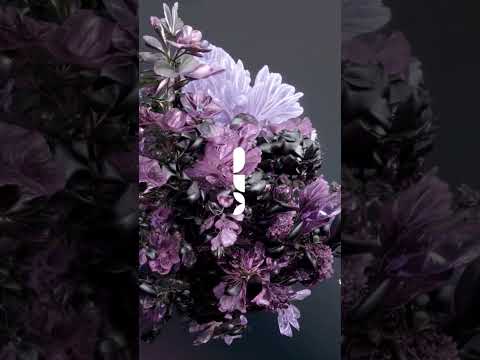 Amabilia, Michael Chiritos - Will Be (Original Mix) [Square Noise]