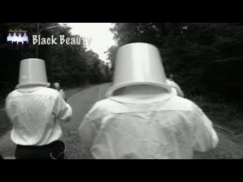 Studio Braun - Black Beauty