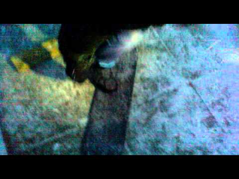 chris haslam do jesus flip