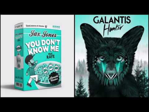 Jax Jones ft. Raye vs Galantis - You Don't Know The Hunter (mashup remix)