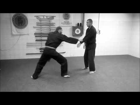 Danshu - Gyokko Ryu Koshijutsu - Ninjutsu klub Bujinkan Leskovac