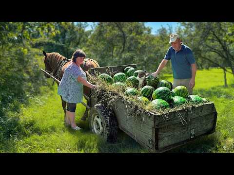 Unusual Watermelon Recipes from Countryside Life