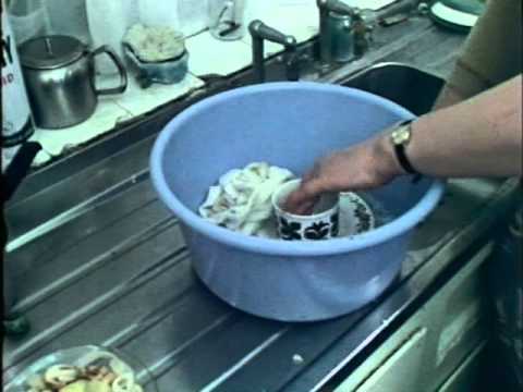 World In Action Claimant Scrounger Snooper Spy