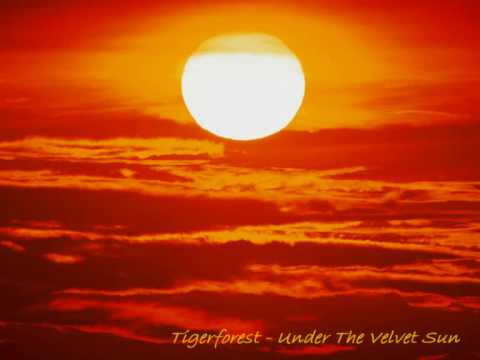 Tigerforest - Under The Velvet Sun