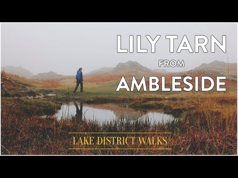 Lily Tarn from Ambleside: A short walk in The Lake District