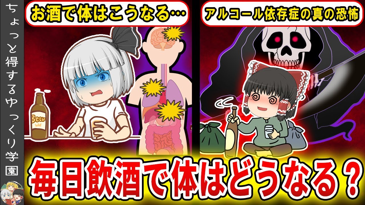 お酒を毎日飲んでいると体に起こる悪影響と、アルコール依存症の恐ろしさ【ゆっくり解説】