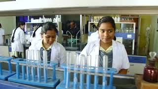 India International School Video