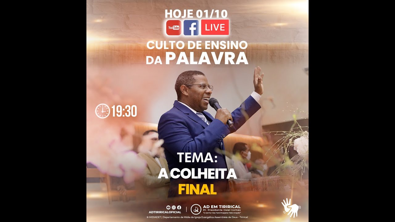 A COLHEITA FINAL