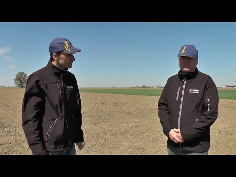 BASF Online-Feldtag Grucking – aktuelle Empfehlungen im Mais