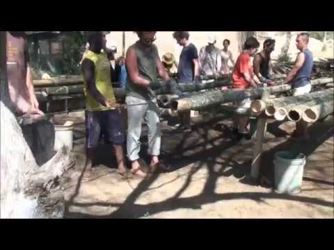 comment traiter bambou