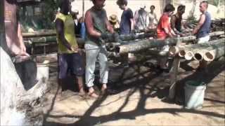 preview picture of video 'Nettoyage de bambous pour la constructions de maisons à Mancora'