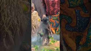 Download lagu Lunch preparation mp3 Download lagu Lunch preparation mp3