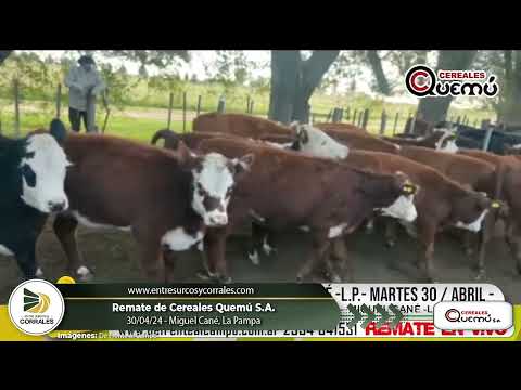30-04-24 - Remate de Cereales Quemú - Miguel Cané, La Pampa