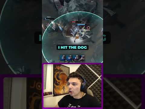 The Average Naafiri Experience...