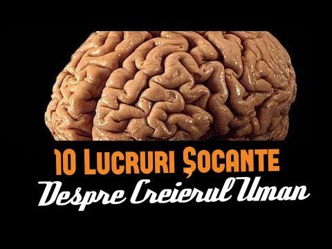 10 LUCRURI ȘOCANTE DESPRE CREIERUL UMAN