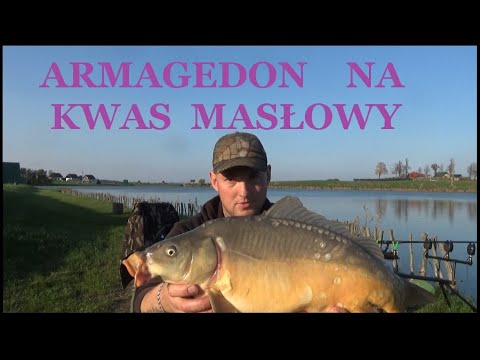 Armagedon na kwas masłowy! około 30kg karasi i piękne karpie. Łowisko Sterławki