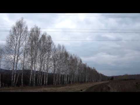 Drache löst Kurzschluss & Lichtbogen auf Hochspannungsleitung aus! HD 1080