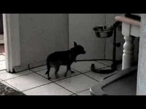 Apple's Mission Impossible