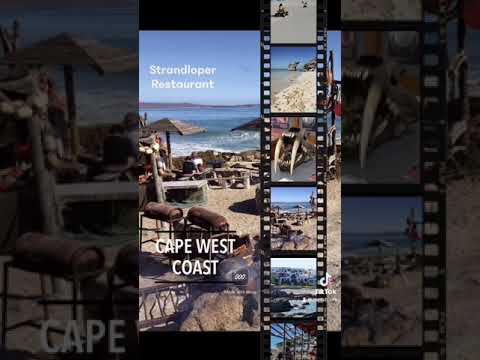 Cape Town Tour Guide: Cape West Coast Tour with Rani's Travel & Tours
