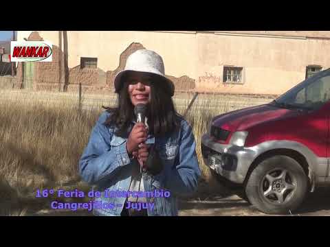 16° FERIA DE INTERCAMBIO DE OVINOS Y LLAMAS - CANGREJILLOS