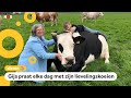 Onderzoek: Wat loeien koeien?
