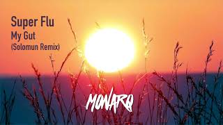 Super Flu - mygut (Solomun Remix)
