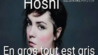 En gros tout est gris Music Video