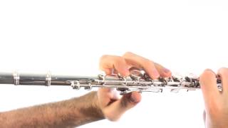 Flute Lesson 6: First Sounds