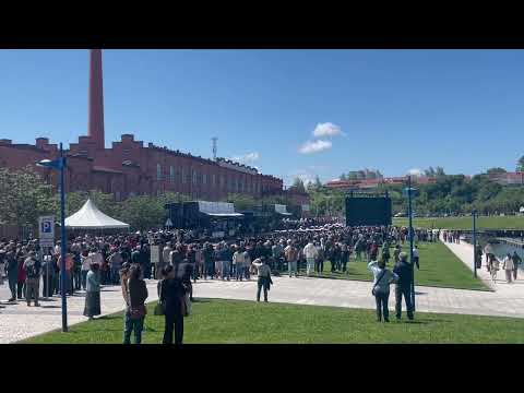 Dia da Marinha em Aveiro