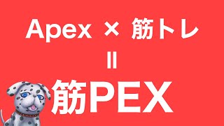 #5【Apex Legends】Season 8 ランクがんばる！ [ 筋PEX】