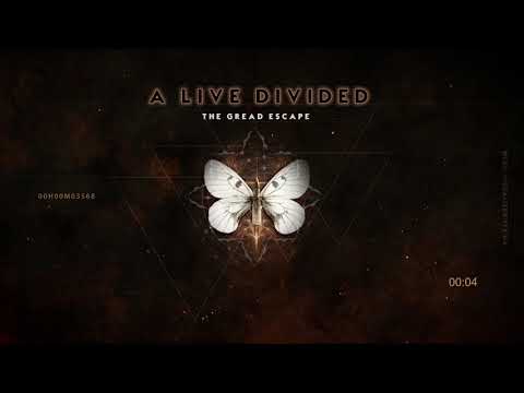 A life divided - It aint good