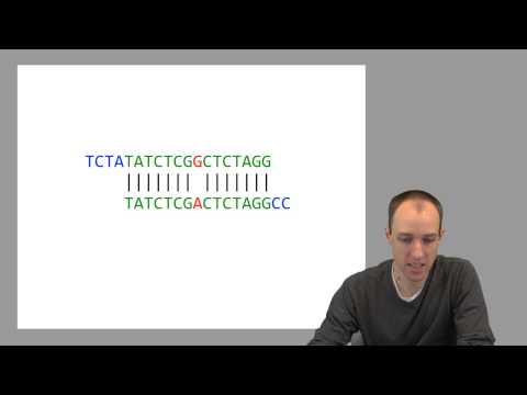 ADS1: First and second laws of assembly