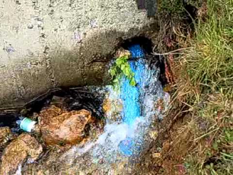 Burimi i ujit në bjeshkë