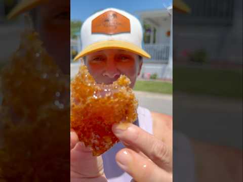 Would you try honeycomb from underneath your home?