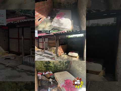 JUQUITIBA PODE TER AS PRIMEIRAS CASAS IMPOPULARES DA REGIÃO NO FAVELODROMO DA CIDADE VEJA PROJETO MINHA CASA MINHA IMUNDÍCIE