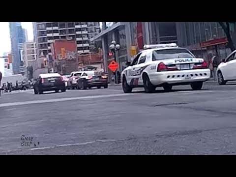 Close Calls and General Mayhem - Toronto Biking - Volume 10