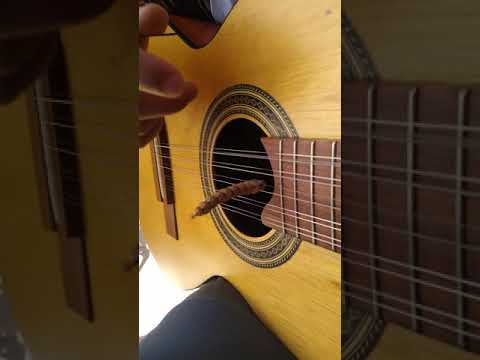 VIOLA CAIPIRA RAIZ | O VIOLEIRO E PIRANGUEIRO