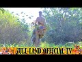 The Maidens Of The Early Zulu Land A Myth Of Unity