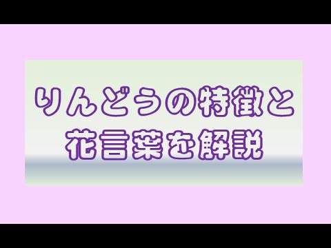 リンドウ ルテア