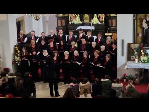 Zdravo Majko višnjeg Boga, F. Hrg - Župni mješoviti pjevački zbor "Sveta Cecilija" Donji Miholjac