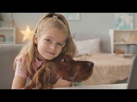 Pretty little girl playing with her cute Irish setter dog